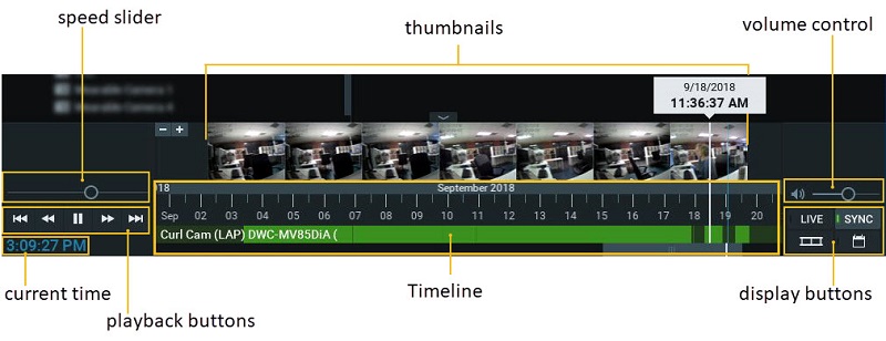 Playback Panel - 1